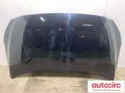 Motorhaube Hyundai Ioniq (AE) 66400G2000