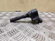 Zündspule AUDI A3 Cabrio (8V7, 8VE) 1.4 TFSI 77300012 04E905110M