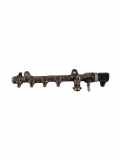 Einspritzleiste Ford Transit Custom V362 Bus (F3) A2C97758000