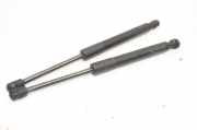Kofferraum-Gasfeder-Kit TESLA MODEL 3 EV AWD 1091560-00-B