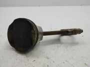 Kolben Maserati Quattroporte V ()