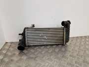 Ladeluftkühler Ford Transit Connect V408 Kasten () BV619L440CK