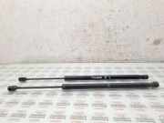 Heckklappe Gasdruckfeder rechts VW TOURAN (1T1, 1T2) 1.9 TDI 1T0827550C