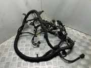 Motor Kabelbaum FORD TRANSIT Furgon 2.2 TDCi 6C1T12B637JF