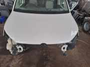 Motorabdeckung VW Caddy III Kasten (2KA)
