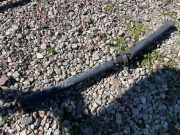 Kardanwelle BMW 1er (F21) 8641835