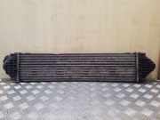 Ladeluftkühler Ford Kuga () 6G919L440AE