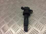 Zündspule KIA SPORTAGE V (NQ5) 1.6 T-GDI 273012B100 CL926