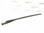 Zierleiste Windschutzscheibe Frontscheibe MERCEDES-BENZ E (W213) E 220 d (213.004) 213