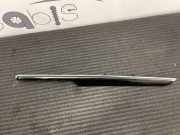 Türverkleidung vorne links