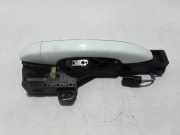 Türaußengriff vorne rechts RENAULT SCÉNIC IV (J9_) 1.2 TCe (JZ16)