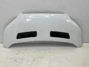 Motorhaube FORD TRANSIT 2.0 TDCi TKK31-A16612-AA