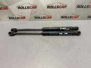 Heckklappe Gasdruckfeder links PEUGEOT 407 Coupe (6C_) 2.7 HDi 5421VU0450N