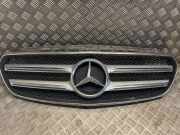 Vorderer oberer Gitter MERCEDES-BENZ E (W213) E 400 d (213.020) A2138880123