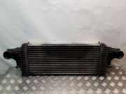 Ladeluftkühler MERCEDES-BENZ M (W164) ML 320 CDI 4-matic (164.122) A2515000000
