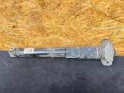 Stoßdämpfer hinten links AUDI Q4 SUV (F4B) 50 e-tron quattro 1EA512013BQ