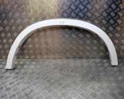 Kotflügelzierleiste hinten links BMW X6 (F16, F86) xDrive 40 d 8056551