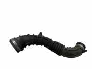 Schlauch für Luftversorgung Renault Clio III (BR0/1, CR0/1) 8200500383C