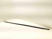 Türverkleidung rechts vorne Ford C-Max II (DXA)