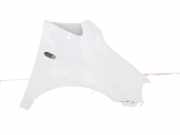 Kotflügel vorne rechts VW CADDY III Variant (2KB, 2KJ, 2CB, 2CJ) 2.0 TDI 16V