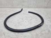 Türdichtung VW Passat B6 CC (357) 3C8867913