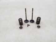 Einlassventile BMW 5 (F10) 550 i xDrive