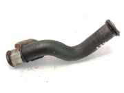 Schlauch Kühlung CITROËN BERLINGO (MF) 2.0 HDI 90 (MFRHY)