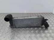 Ladeluftkühler CITROËN C8 (EA_, EB_) 2.0 HDi 870229H 1489396080
