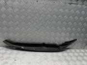 Flügel vervollständigung MERCEDES-BENZ M (W164) ML 350 CDI 4-matic (164.122) A1648890425