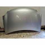 Motorhaube VW POLO (9N_) 1.9 TDI