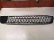 Gitter vorne unten BMW X5 (E70) xDrive 30 d 10503410 51117222849