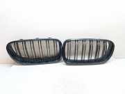 Vorderer oberer Gitter BMW 5 (F10) 525 d