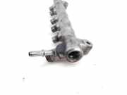 Einspritzleiste Volvo S60 II (134) 31303412
