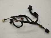 Kabel Tür Nissan Murano I (Z50) 24126CC000