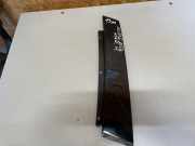 Türverkleidung links hinten Skoda Superb II (3T) 3T9839903