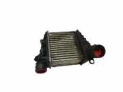 Ladeluftkühler AUDI A3 (8L1) 1.9 TDI