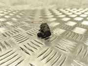 NOx-Sensor NISSAN MICRA V (K14) 1.0
