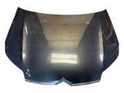 Motorhaube CITROËN C5 III (RD_) 1.6 HDi 110 23990244