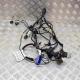 Türverkabelung hinten links MASERATI QUATTROPORTE VI 3.8 GT S 06700075110 6700075110