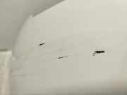 Hintere Stoßstange PORSCHE Taycan Taycan 9J1959539B