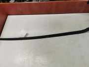 Zierleiste Windschutzscheibe Frontscheibe TOYOTA AVENSIS VERSO (_M2_) 2.0 D (CLM20_)