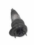 Pneumo-Stoßdämpfer hinten links BMW 5 (G60) i5 eDrive40 G60FH034S