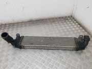 Ladeluftkühler FORD FOCUS II (DA_, HCP) 1.8 TDCi 3M5H9L440AE