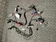 Türverkabelung hinten links MASERATI GHIBLI (M157) 3.0 06700086170