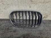 Vorderer oberer Gitter BMW 1 (F21) M 140 i 7371748
