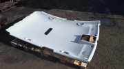 Dachverkleidung VW GOLF PLUS (5M1, 521) 1.6