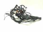 Kabel Motor Audi A4 (8E, B6) 8K1971072AB