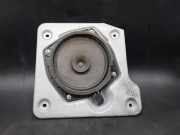 Türlautsprecher hinten links