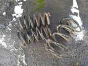 Fahrwerksfeder vorne rechts SUBARU JUSTY IV 1.0