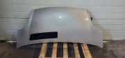 Motorhaube RENAULT TRAFIC II Furgon (FL) 1.9 dCi 100 (FL0C)